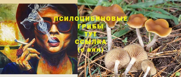 кокаин VHQ Гусиноозёрск