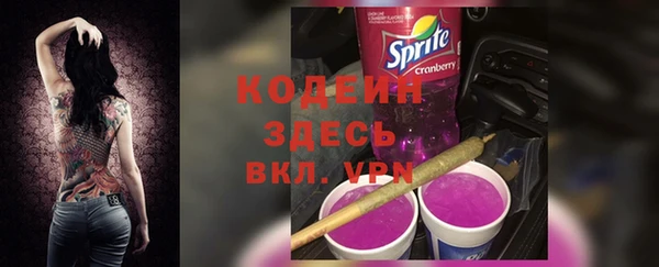 2c-b Гусев