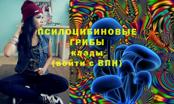 кокаин Гусь-Хрустальный