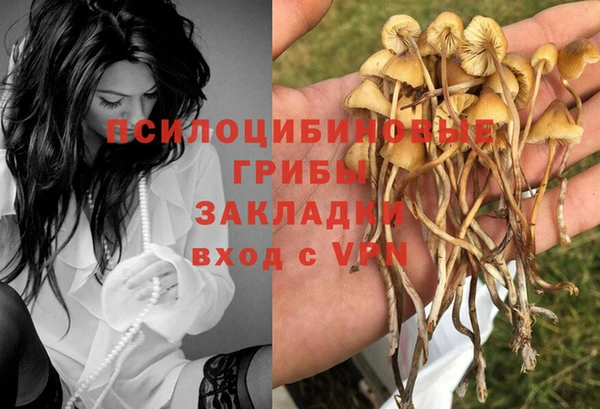 кокаин Гусь-Хрустальный
